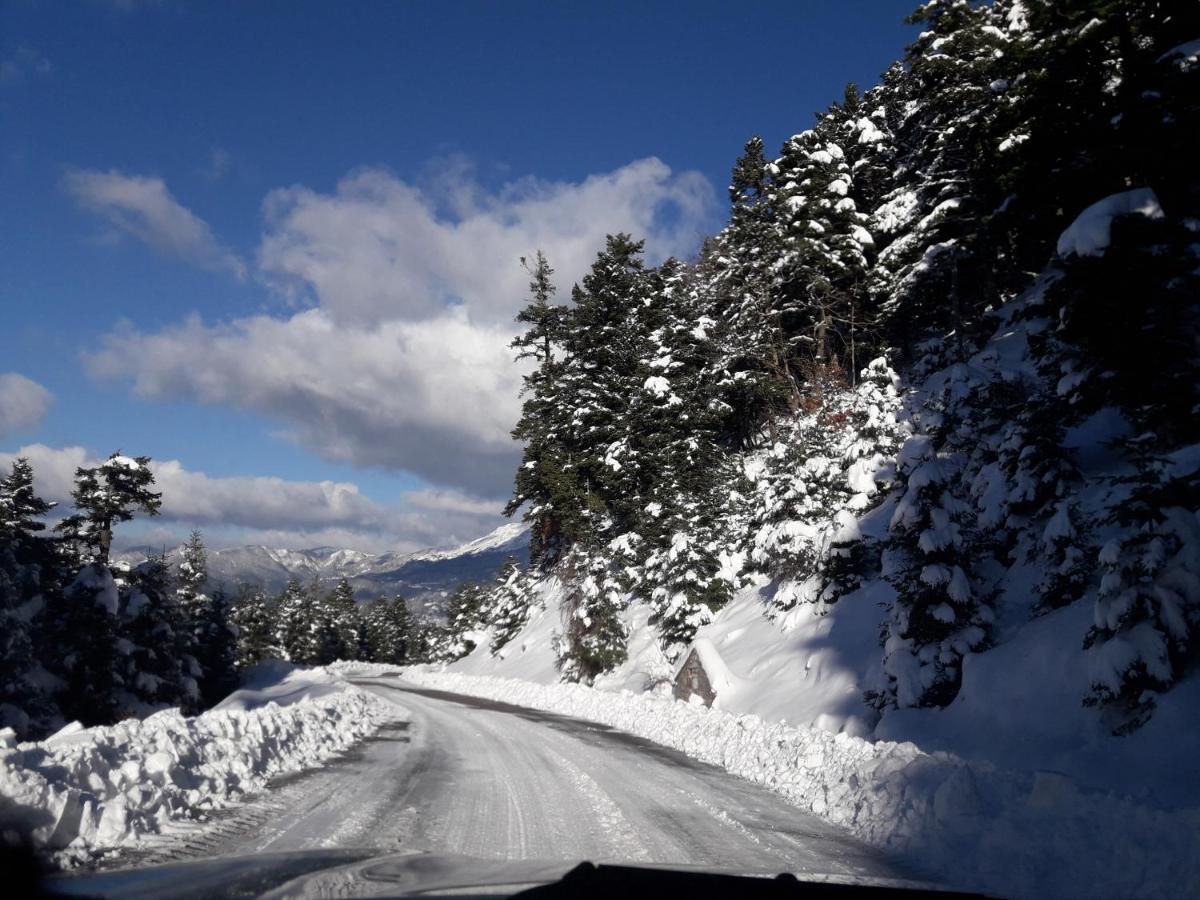 Kedros Chalet Agios Dimitrios  Bagian luar foto